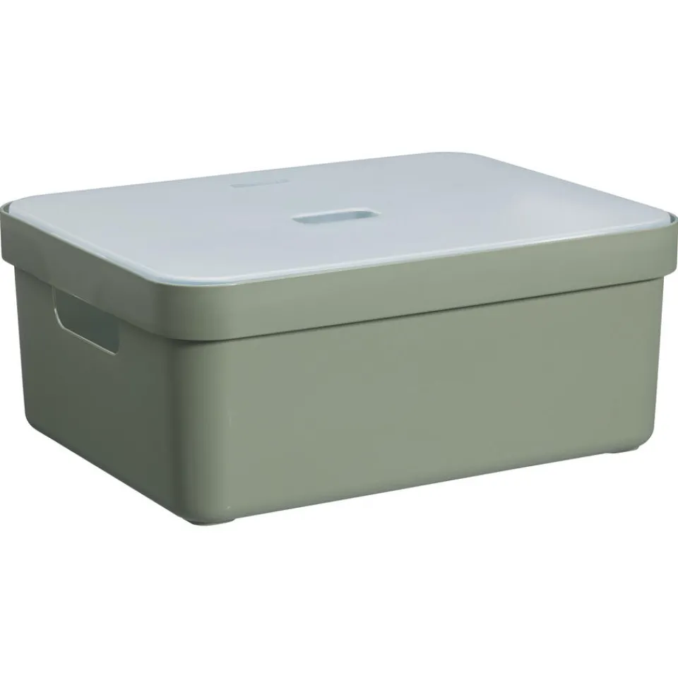 Kwantum Deksel Sigma Transparant