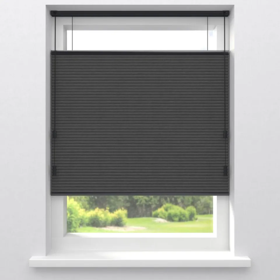 Kwantum Fenstr Dubbel Plissé Aniek Verduisterend