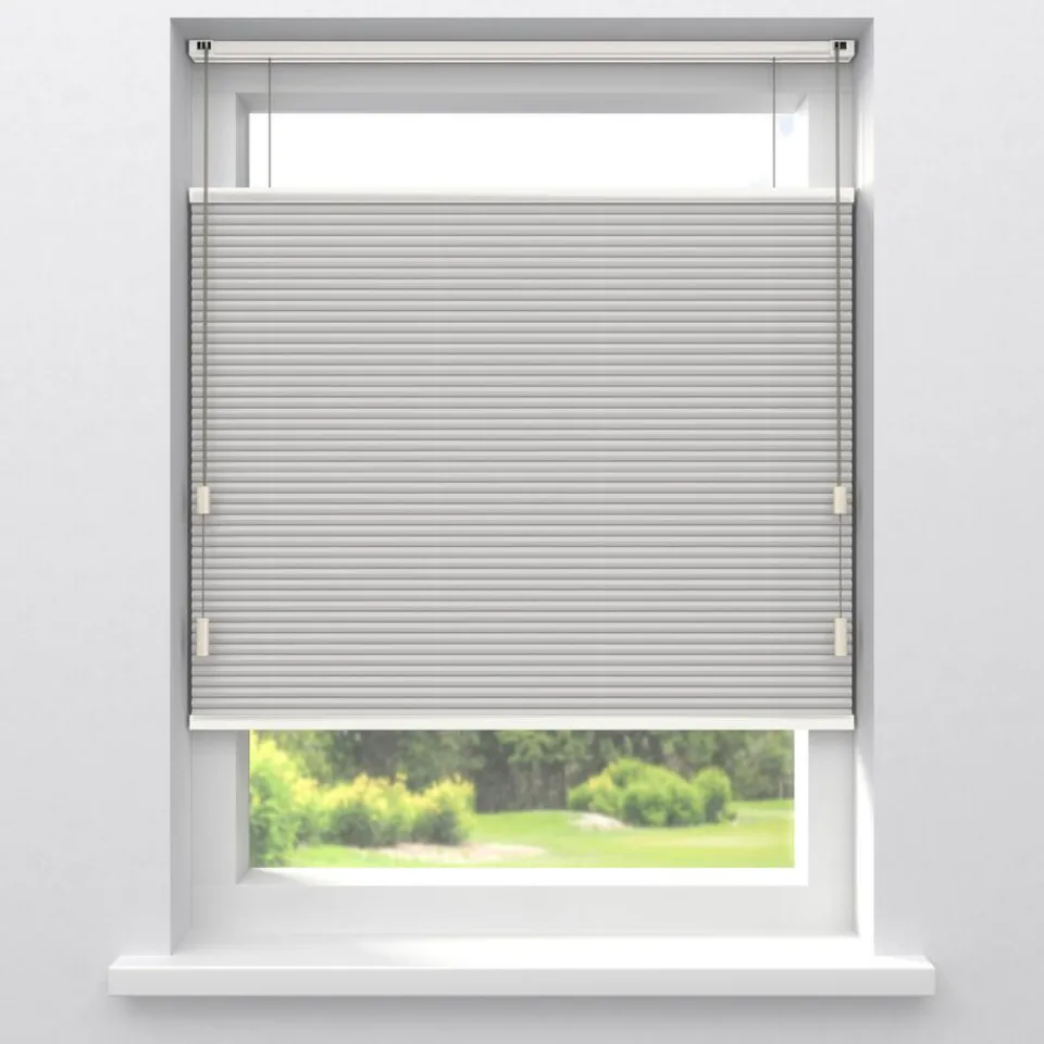 Kwantum Fenstr Dubbel Plissé Elsa Verduisterend