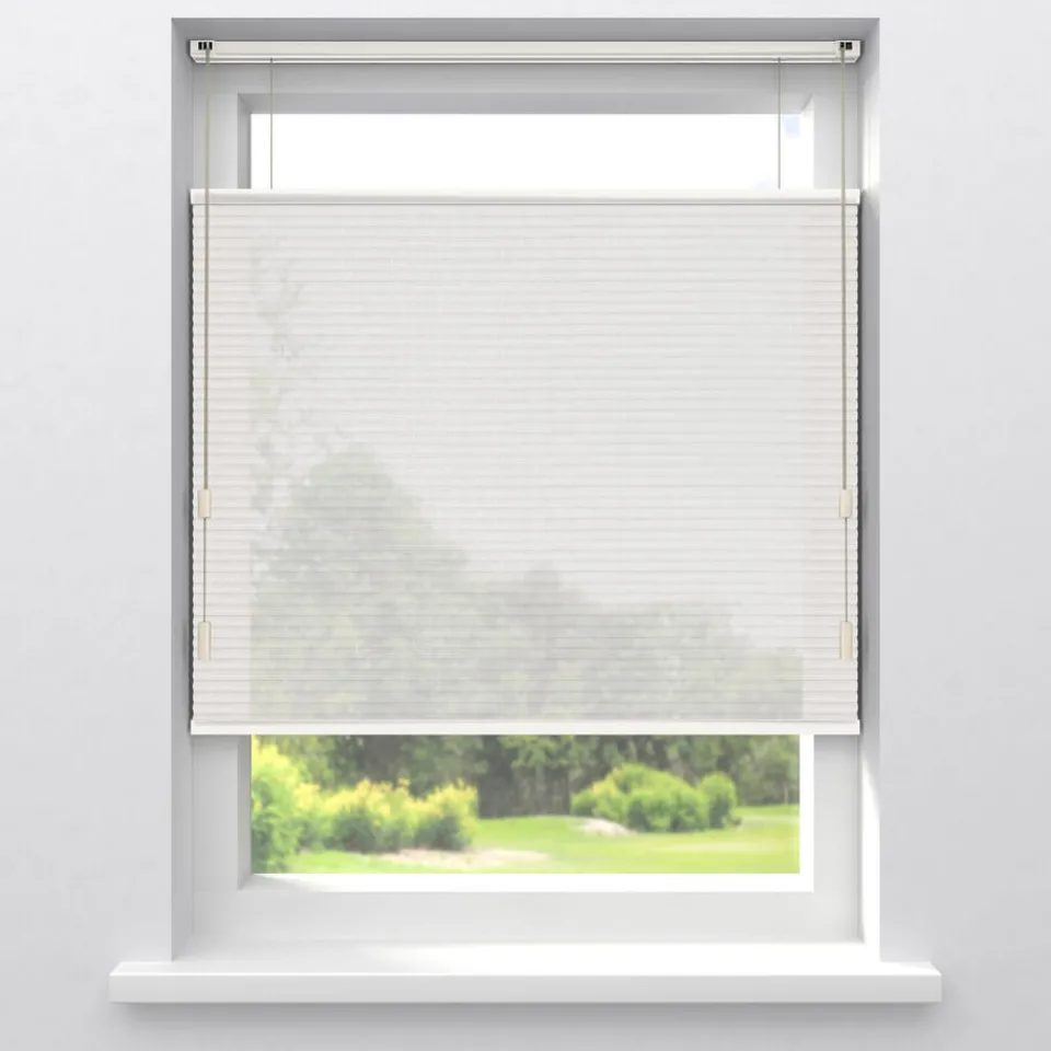 Kwantum Fenstr Dubbel Plisségordijn Lou Transparant