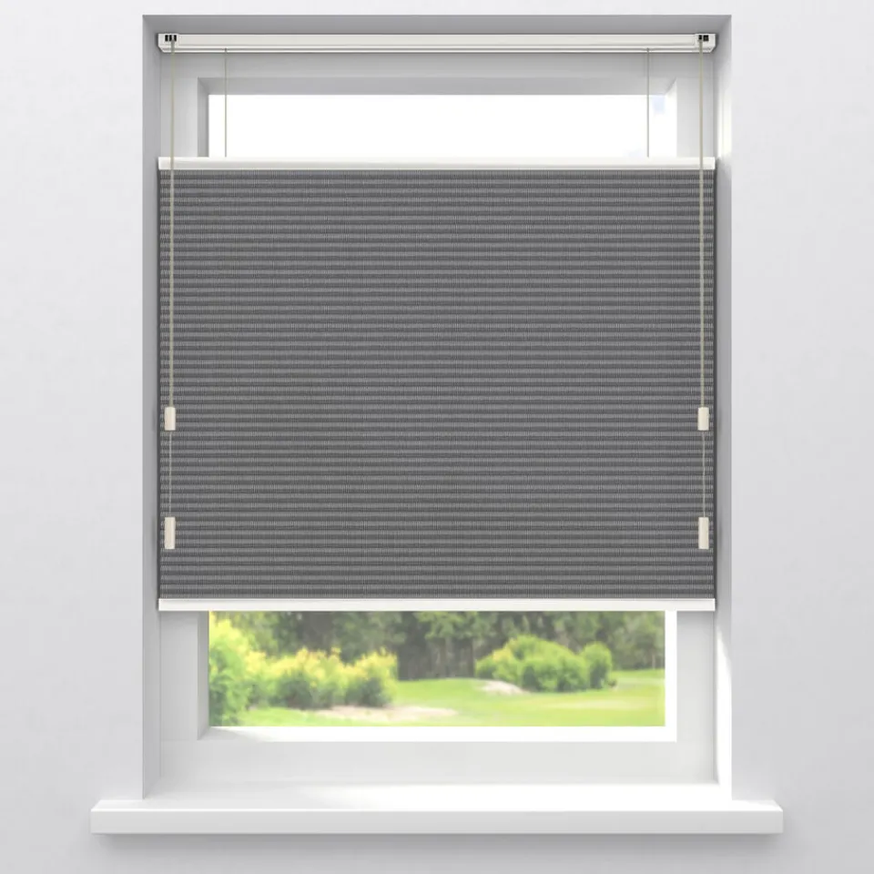 Kwantum Fenstr Dubbel Plisségordijn Elin Verduisterend