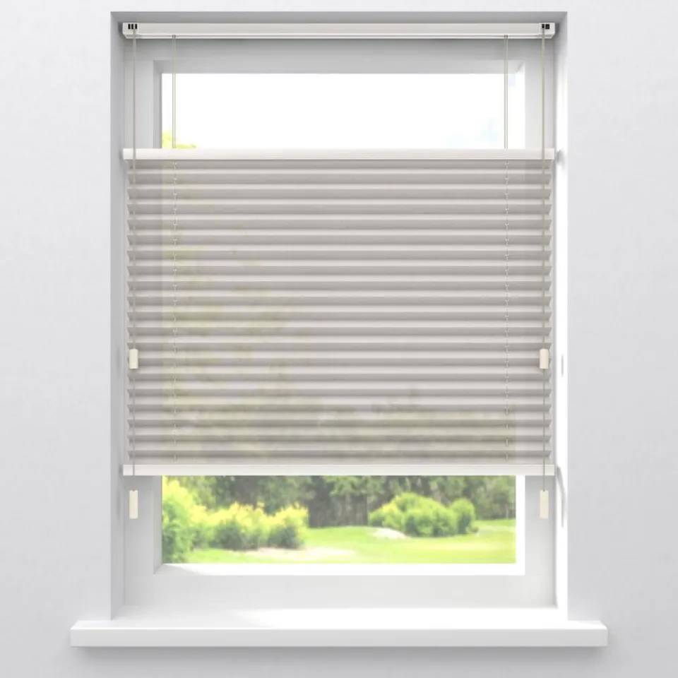 Kwantum Fenstr Plissé Fenna Transparant
