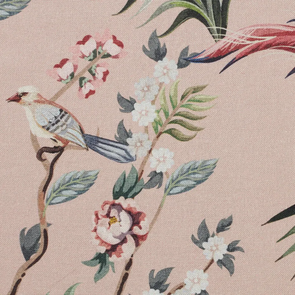 Kwantum Gordijn Janneke Roze